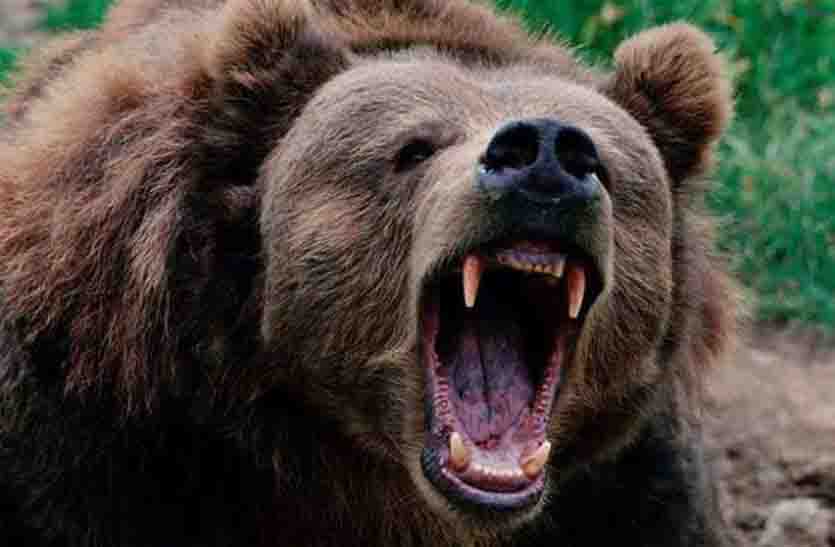 rajsamand hindi news