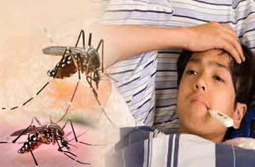 dengue symptoms and Prevention