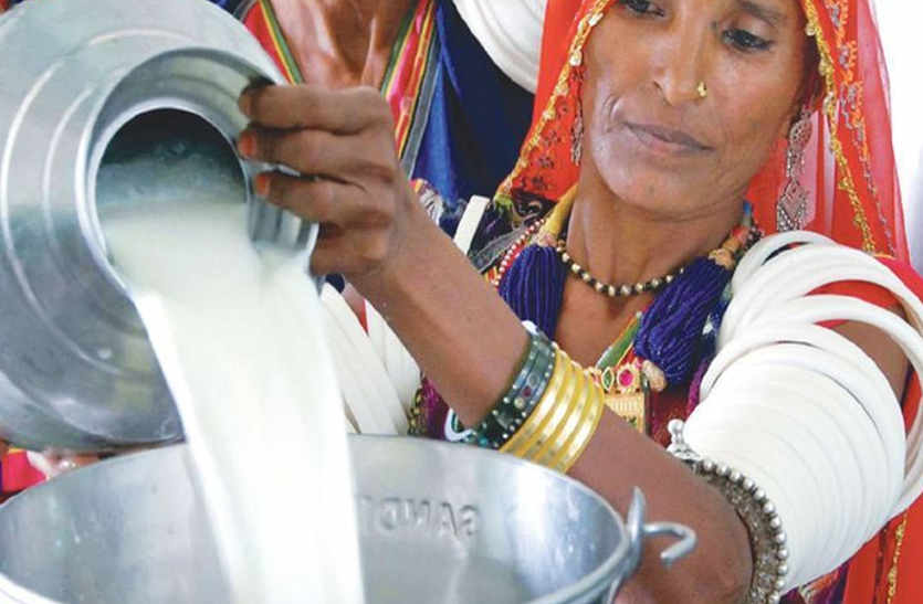 Increased fat price in bhilwara