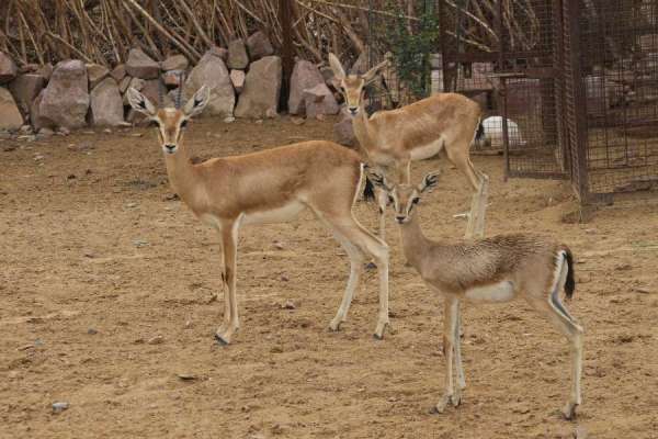 कैमरा देख कुछ ऐसे दिया पोज