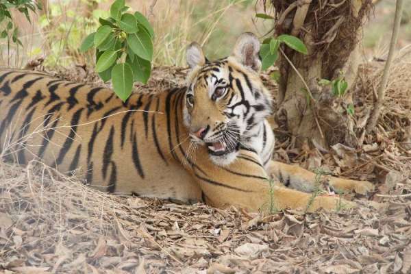 खुशनुमा मौसम में चेहरे पर खुशी के भाव