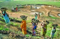 CG Analytical News : आखिर ऐसा क्या हुआ कि मनरेगा के 16 हजार कार्यों को करना पड़ा निरस्त, पढि़ए खबर...