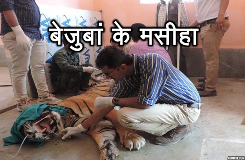 National Doctors Day 2018