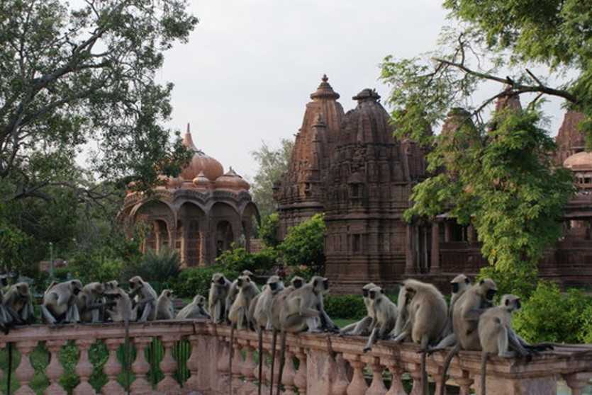 mandore Garden jodhpur