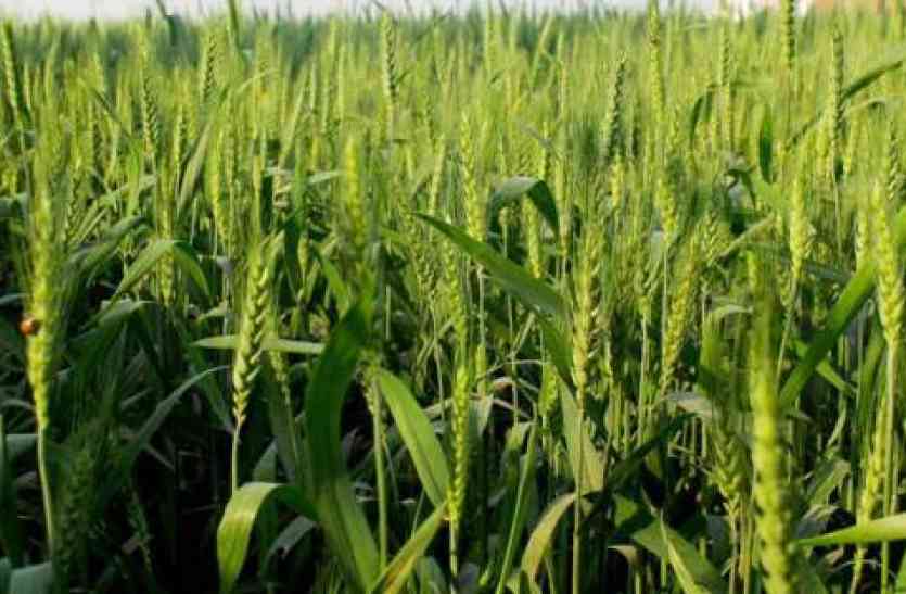 Kisan credit card scheme