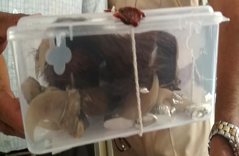 lion's paw, nails and old foreign and Indian currency, trader arrest