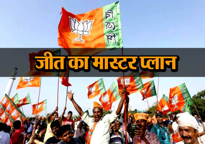 bjp and rss strategy