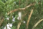 Farmer Suicide