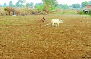 chhattisgarh news
