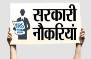 govt job