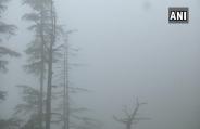 rain