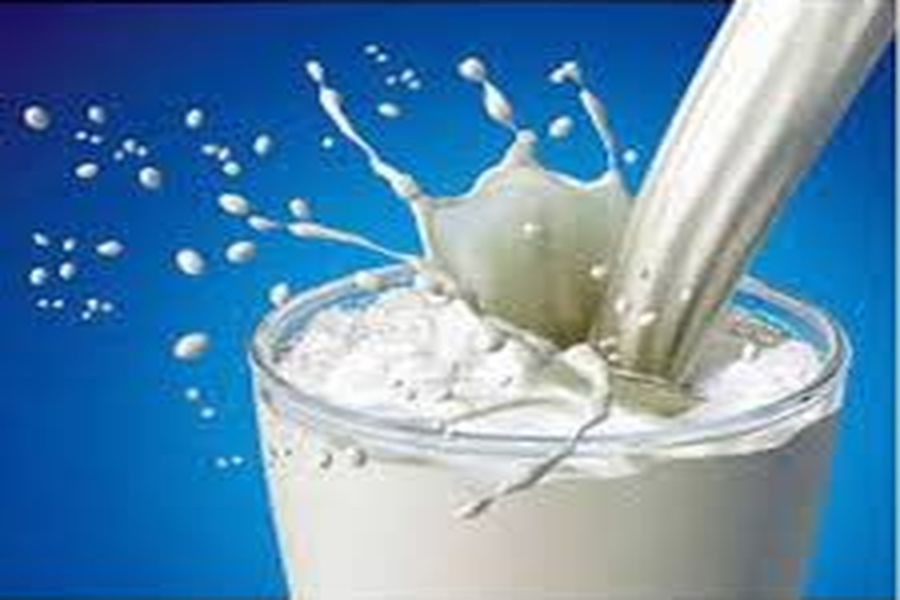 milk scheme