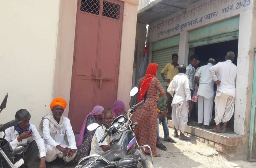 Supply of Moong Seeds in Piparcity