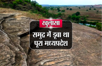 Archaeological Survey of India