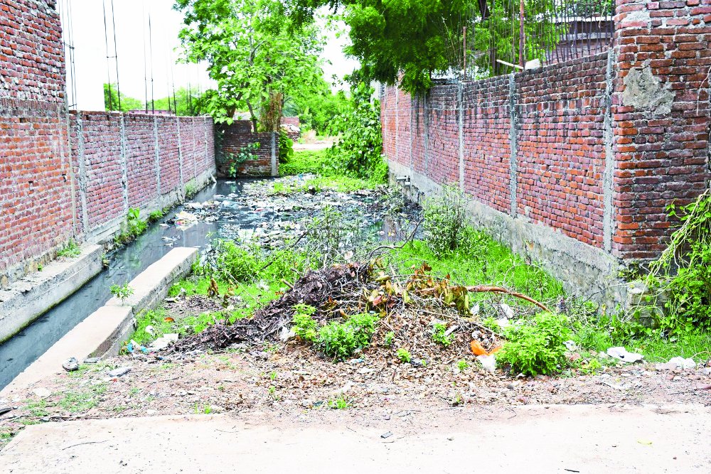 Satna Nagar Nigam Ward No. 42 news in hindi