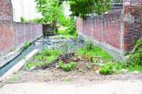 Satna Nagar Nigam Ward No. 42 news in hindi