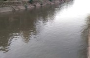 नहरों मेंं नहीं बढ़ी पानी की धार, रोपाई को लेकर किसान हुए चिंतित, कर रहे बारिश का इंतजार