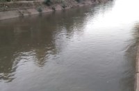 नहरों मेंं नहीं बढ़ी पानी की धार, रोपाई को लेकर किसान हुए चिंतित, कर रहे बारिश का इंतजार