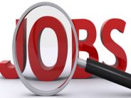 job alert