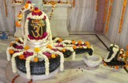 shiv