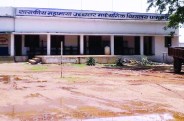 डीएलएड की परीक्षाओं में हुए नकल