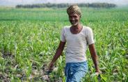 Farmers