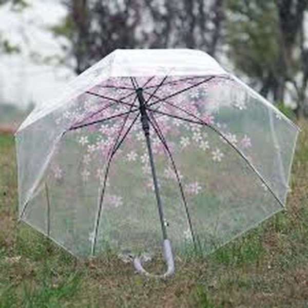 beautiful pics of umbrella