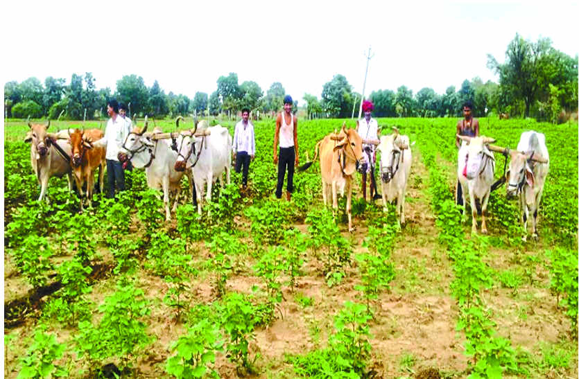 Disclosed in the Department of Agriculture in bhilwara