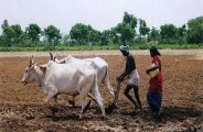 farmers news