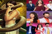 barc report 