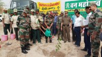 Planted 300 plants by 128 vi paidal vahini in jawahar navoday school
