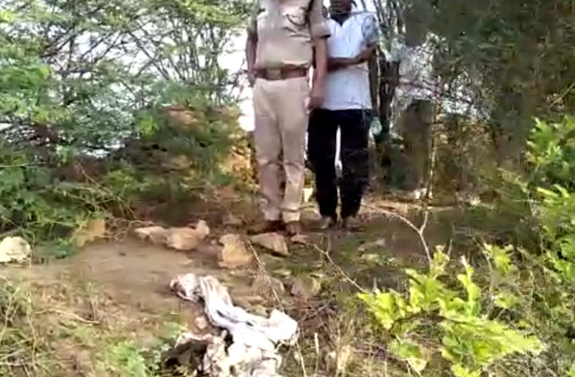 Male Skeleton found