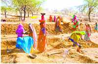 Expenditure on MNREGA budget in bhilwara