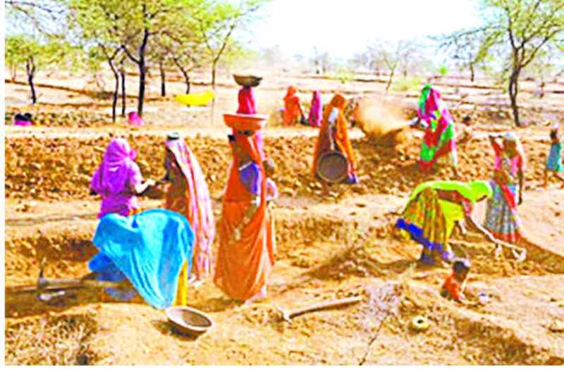 Expenditure on MNREGA budget in bhilwara