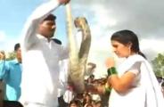 viral video