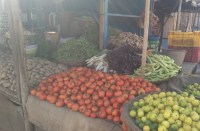 रसोई से गायब हुआ टमाटर, आखिर क्यों इन दिनों खरीदने से कतरा रहे लोग, पढि़ए खबर...