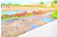 Ignoring of department in bhilwara