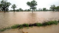 use of rain water sceame