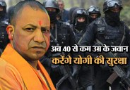 yogi