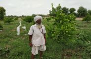 sirohi Kisan Somaram
