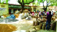 Even after selling grain in this district of MP, the farmer wandering