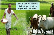 farmers