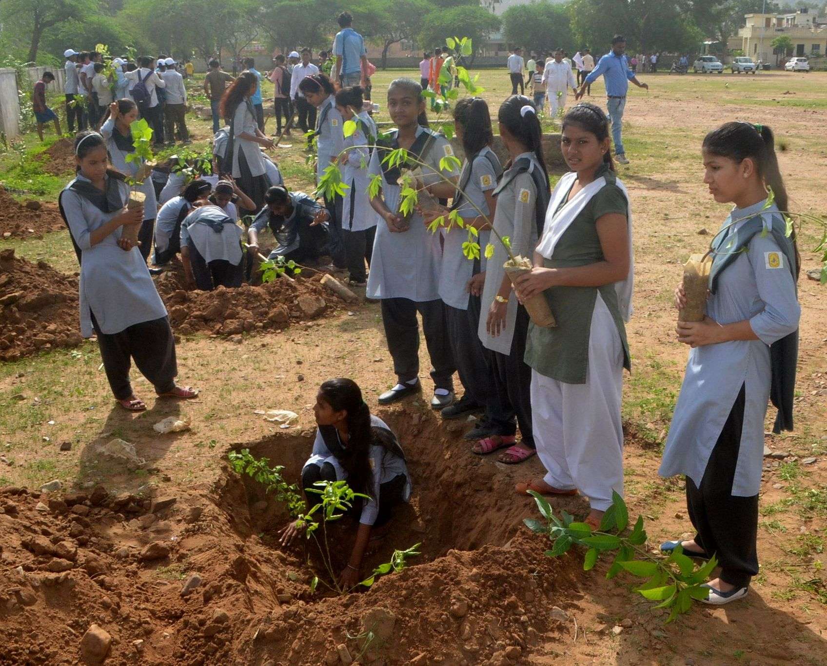 Hariyalo Rajasthan Plantation Programs