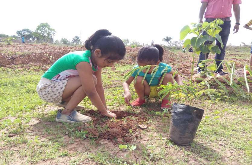 हरित प्रदेश अभियान: नन्हे नन्हे हाथों से बच्चों ने किया पौध रोपड़