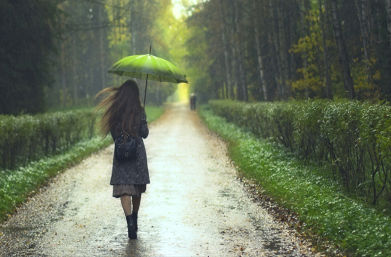 we-spoiled-the-five-elements