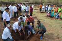 Hariyalo Rajasthan Campaign launches in bhilwara