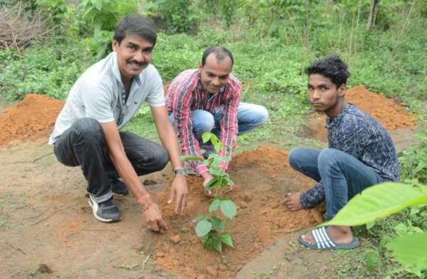 Photo Gallery : अशोक वाटिका में रोपे गए बादाम, अमरूद, चिरौंजी व नीम के पौधे