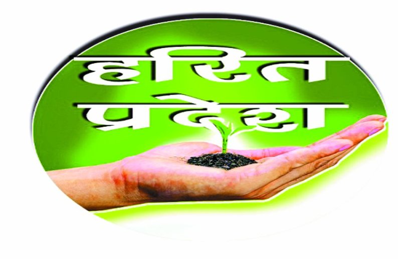 patrika newspaper campaign For plantation