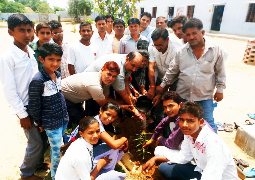 Planting the basis of life