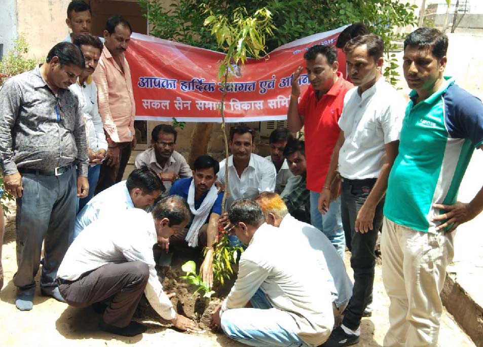 Harayalo Rajasthan campaign launched by planting plants on hold